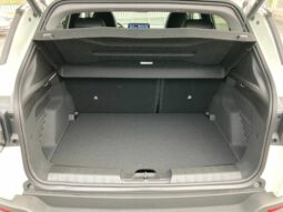 
 Jeep Avenger 1.2 turbo e-hybrid mhev Summit fwd 110cv edct6 full									