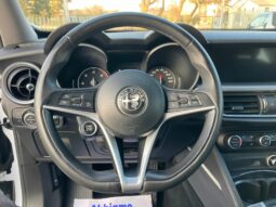 
 Alfa Romeo Stelvio 2.2 t Business rwd 180cv auto full									